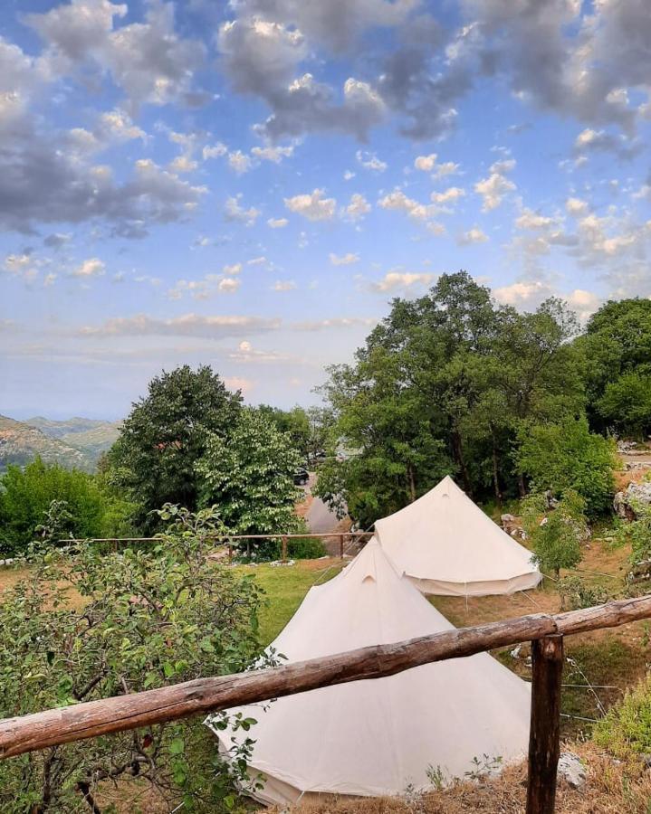 מלון סטינג'ה Camp Oaza,Lipa מראה חיצוני תמונה