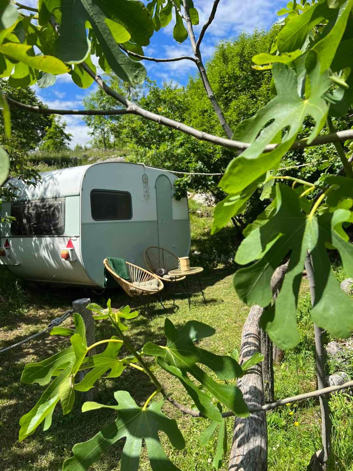 מלון סטינג'ה Camp Oaza,Lipa מראה חיצוני תמונה